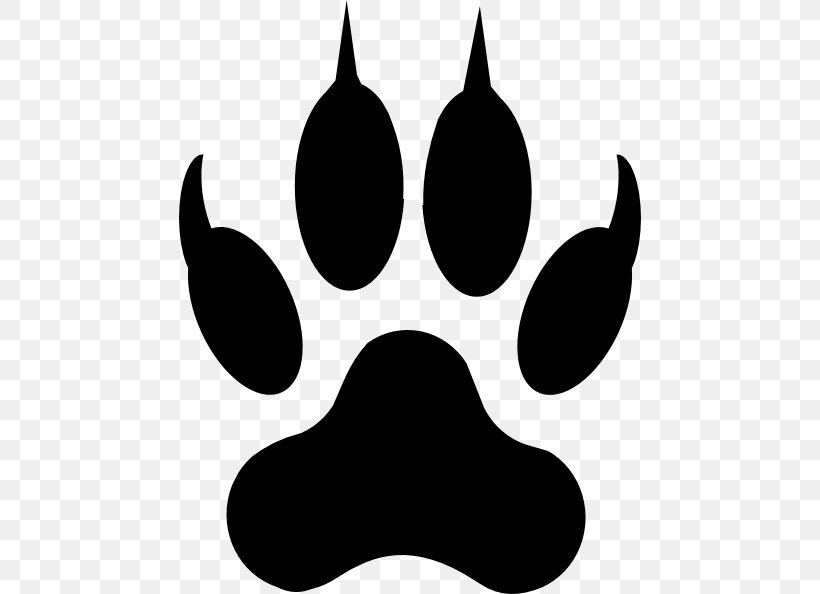 Cougar Paw Tiger Dog Clip Art, PNG, 462x594px, Cougar, American Lion, Animal Track, Black, Black And White Download Free