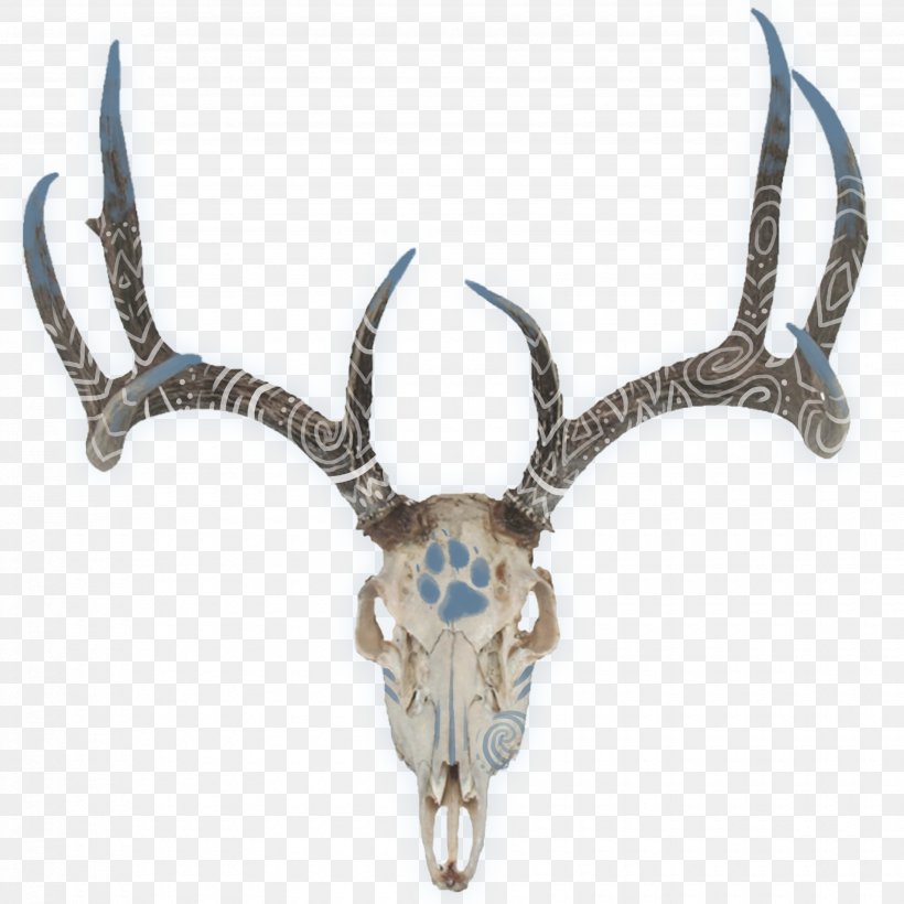 White-tailed Deer Red Deer Antler Deer Hunting, PNG, 3500x3500px, Deer, Antelope, Antler, Body Jewelry, Bowhunting Download Free