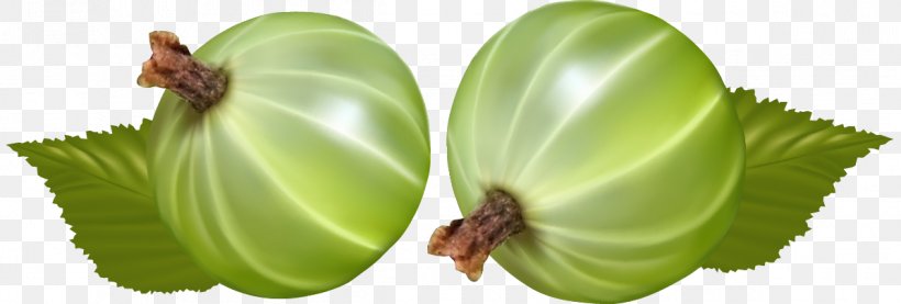 Berry Fruit Onion Clip Art, PNG, 1197x405px, Berry, Fruit, Gooseberry, Leaf, Onion Download Free