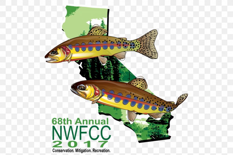 Fishing Atlantic Salmon Aquaculture, PNG, 1024x683px, Fish, Aquaculture, Atlantic Salmon, California, Fauna Download Free