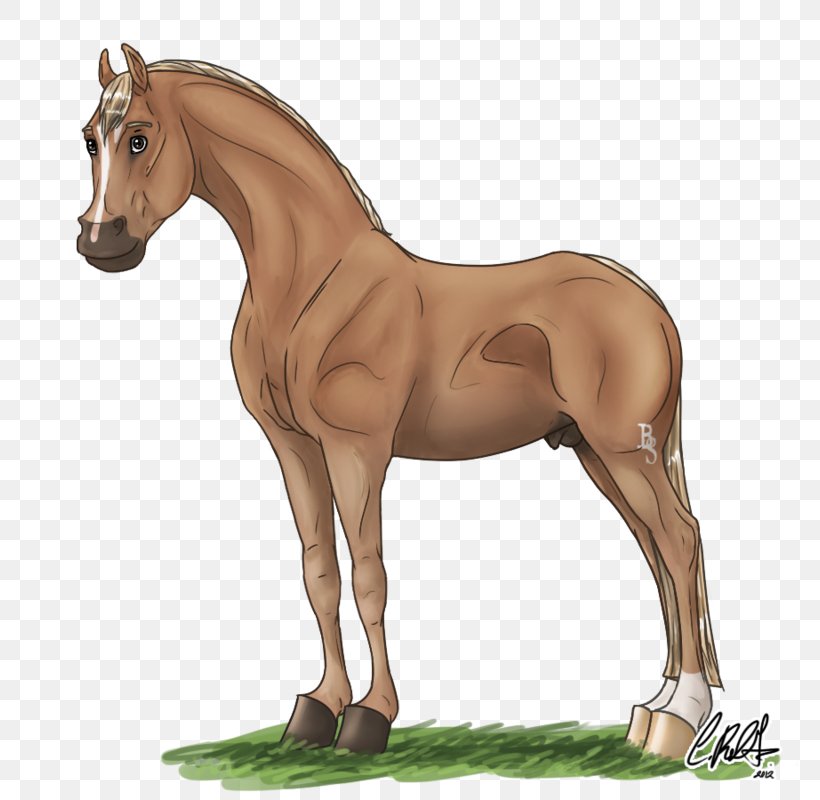 Foal Mustang Stallion Mare Colt, PNG, 800x800px, Foal, Animal Figure, Bridle, Cartoon, Colt Download Free