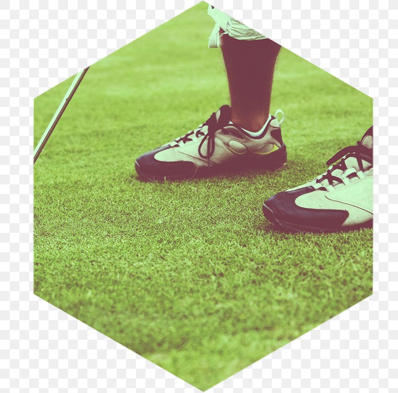 Green Shoe, PNG, 782x810px, Green, Golf Ball, Grass, Lawn, Outdoor Shoe Download Free