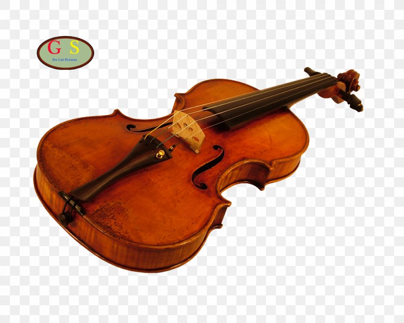 Bass Violin Viola Violone Cello, PNG, 1000x800px, Bass Violin, Bowed String Instrument, Cello, Double Bass, Fiddle Download Free