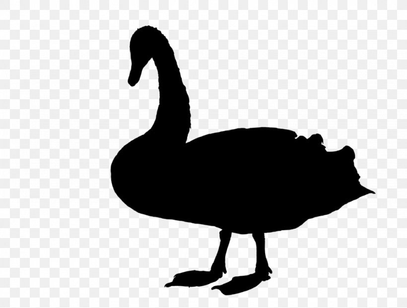 Duck Goose Swans Fowl Clip Art, PNG, 1024x776px, Duck, Beak, Bird, Black Swan, Blackandwhite Download Free