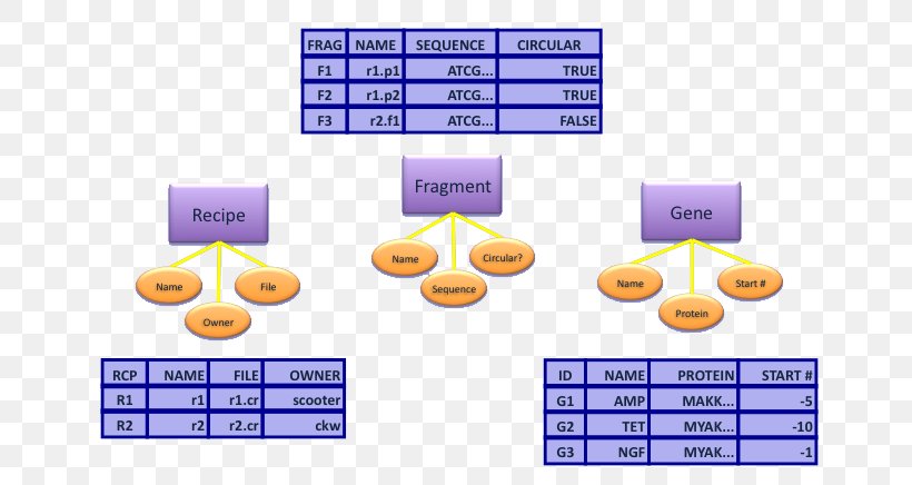 Product Design Line Font Technology, PNG, 720x436px, Technology, Area, Diagram, Number, Purple Download Free