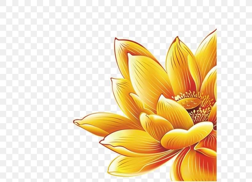 China Mooncake Euclidean Vector Nelumbo Nucifera, PNG, 591x591px, China, Cut Flowers, Dahlia, Daisy Family, Falun Gong Download Free