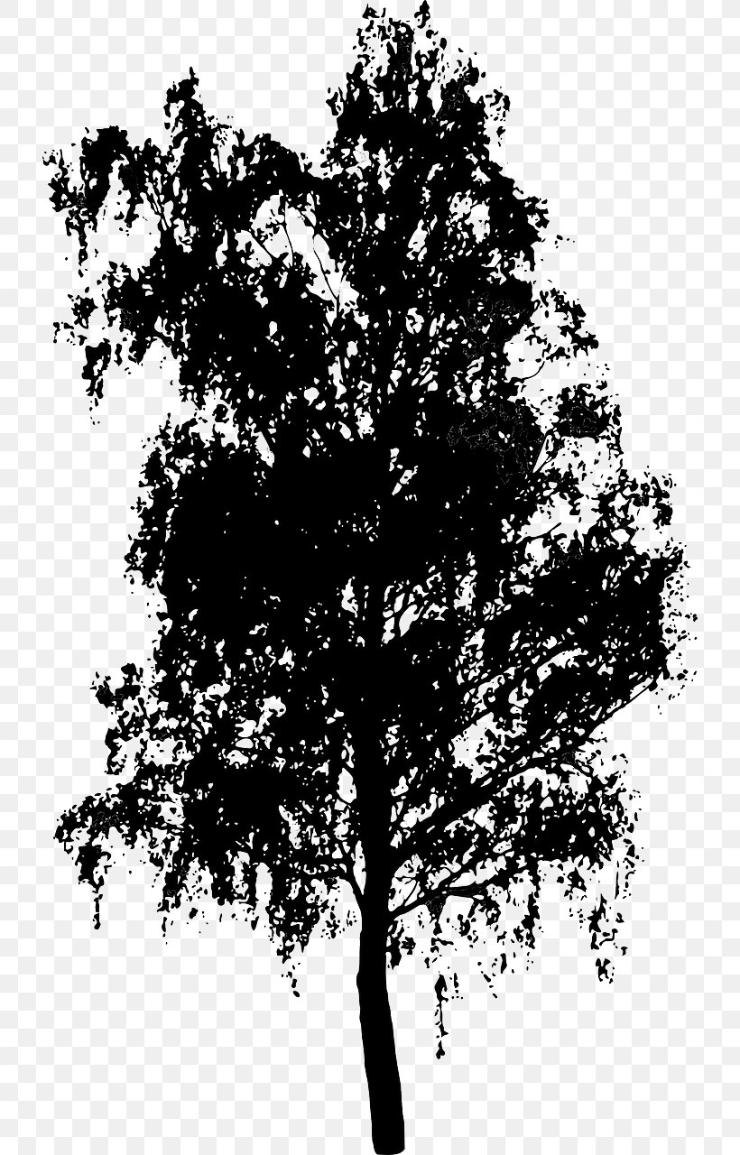Clip Art, PNG, 726x1280px, Tree, Black And White, Branch, Leaf, Libreoffice Download Free
