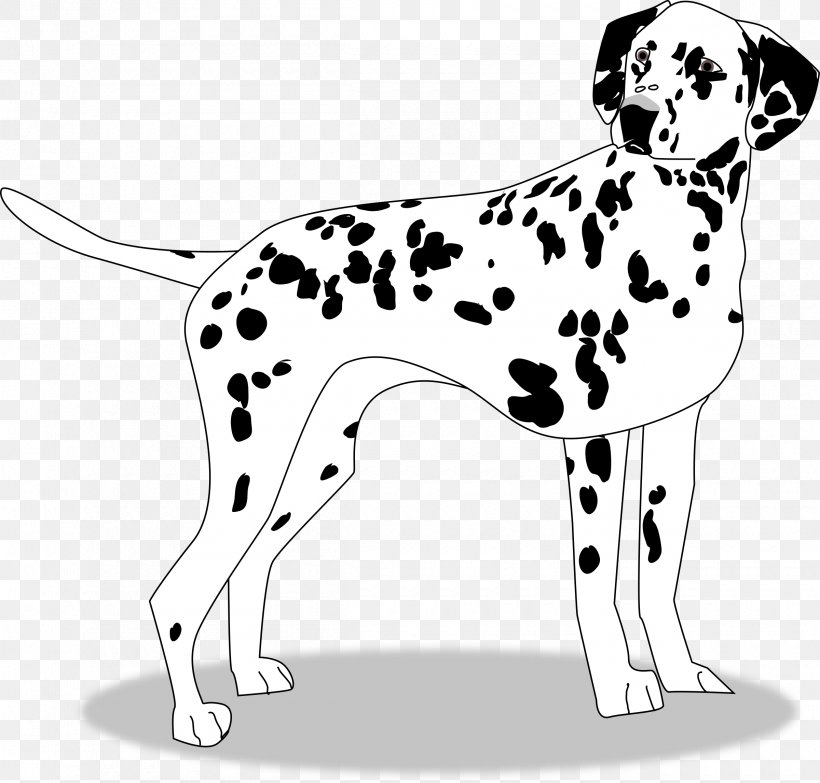 Dalmatian Dog Puppy Dog Breed Companion Dog Clip Art, PNG, 2400x2294px, 101 Dalmatians, Dalmatian Dog, Black And White, Breed, Carnivoran Download Free