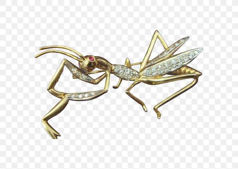 Insect 01504 Body Jewellery Brooch, PNG, 582x582px, Insect, Arthropod, Body Jewellery, Body Jewelry, Brass Download Free