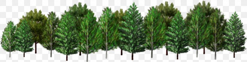 Spruce Tree Forest Clip Art, PNG, 1536x389px, Spruce, Commodity, Conifer, Conifers, Digital Image Download Free