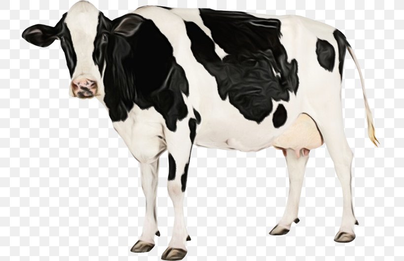 Watercolor Animal, PNG, 732x530px, Watercolor, Animal Figure, Blackandwhite, Bovine, Calf Download Free