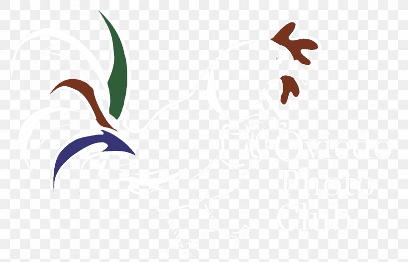 Beak Water Bird Font, PNG, 1878x1205px, Beak, Bird, Leaf, Water Bird, Wing Download Free