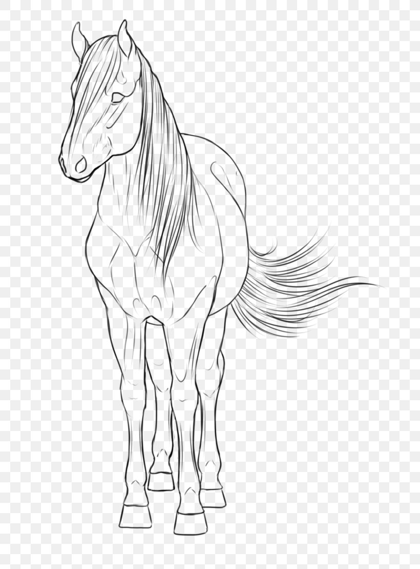 Mane Pony Mustang Stallion Sketch, PNG, 721x1109px, Mane, Arm, Artwork, Black And White, Bridle Download Free