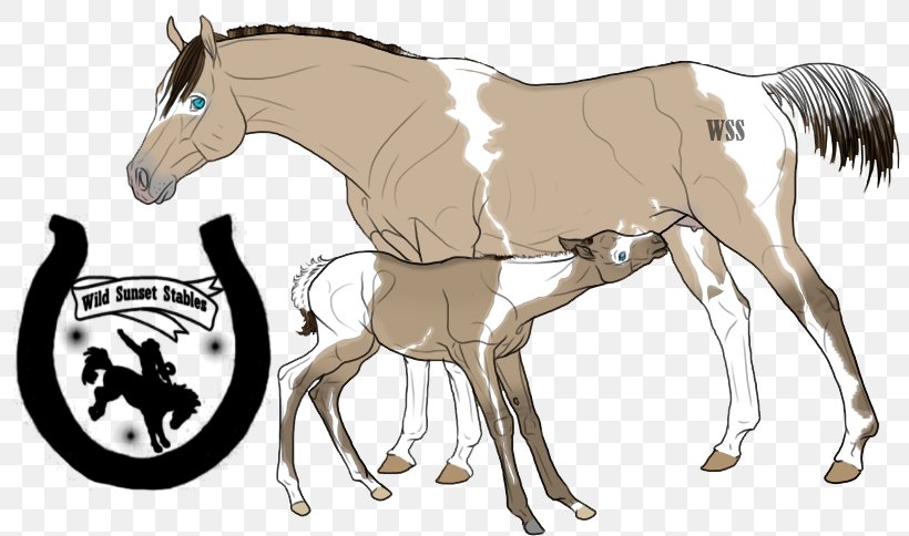 Mustang Foal Stallion Colt Mare, PNG, 805x484px, Mustang, Animal Figure, Bridle, Colt, Fictional Character Download Free