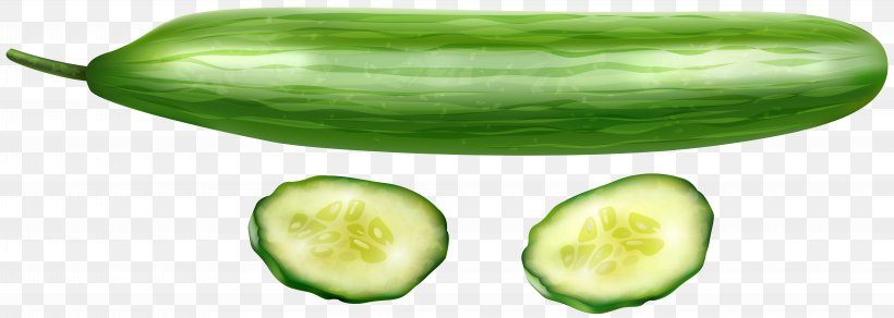 Pickled Cucumber Vegetable Clip Art, PNG, 8000x2851px, Cucumber, Cucumber Gourd And Melon Family, Cucumber Juice, Cucumis, Food Download Free