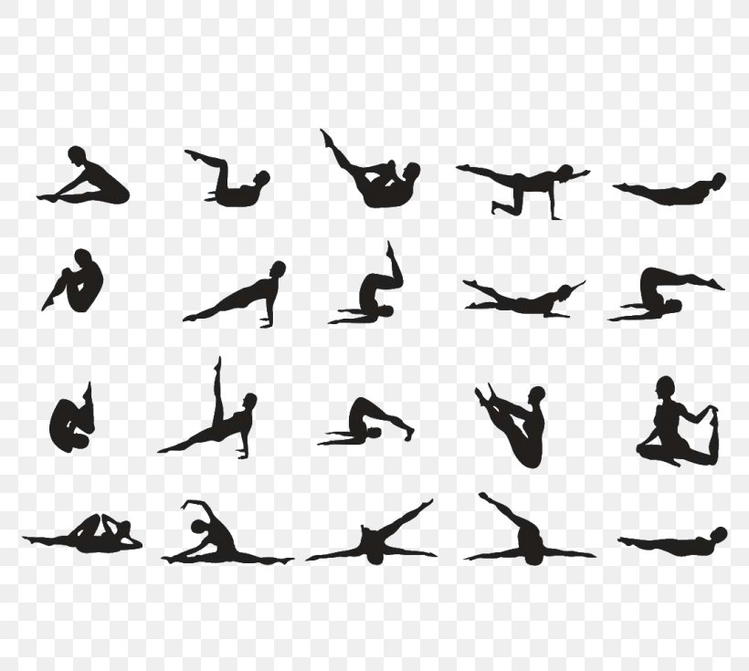 Pilates + Yoga Exercise Posture Stretching, PNG, 774x735px, Pilates, Animal Migration, Balance, Beak, Bird Download Free