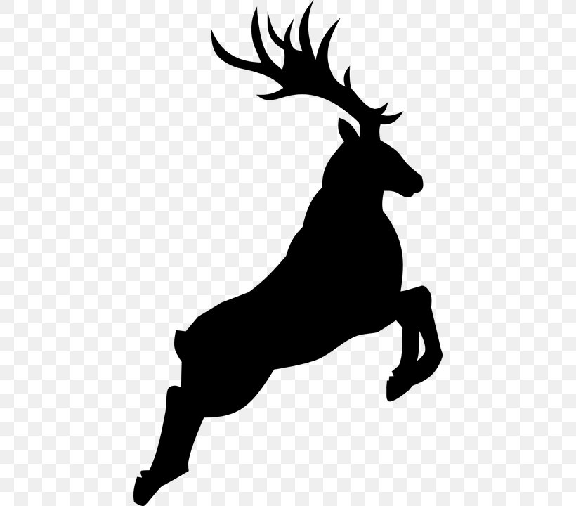 Reindeer Rudolph Clip Art, PNG, 440x720px, Reindeer, Antler, Black And White, Deer, Drawing Download Free