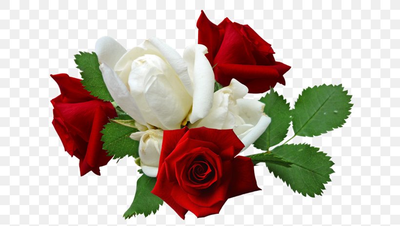 Flower Bouquet Garden Roses Clip Art, PNG, 650x463px, Flower, Beach Rose, Cut Flowers, Floral Design, Floristry Download Free