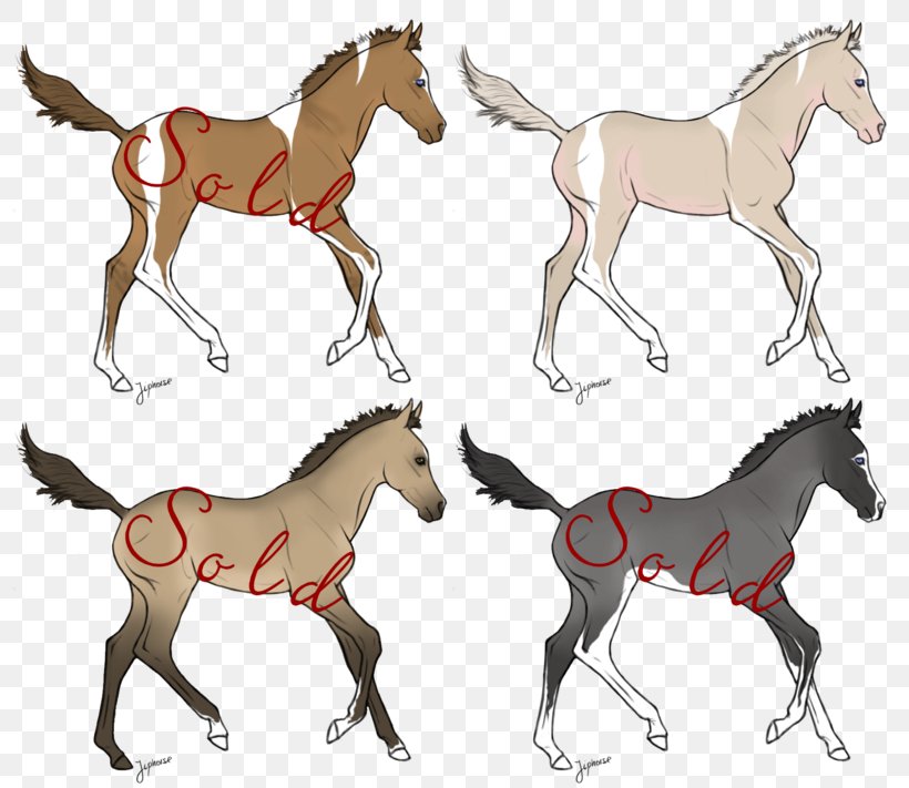 Mule Foal Mustang Mare Stallion, PNG, 800x711px, Mule, Animal Figure, Bridle, Cartoon, Colt Download Free