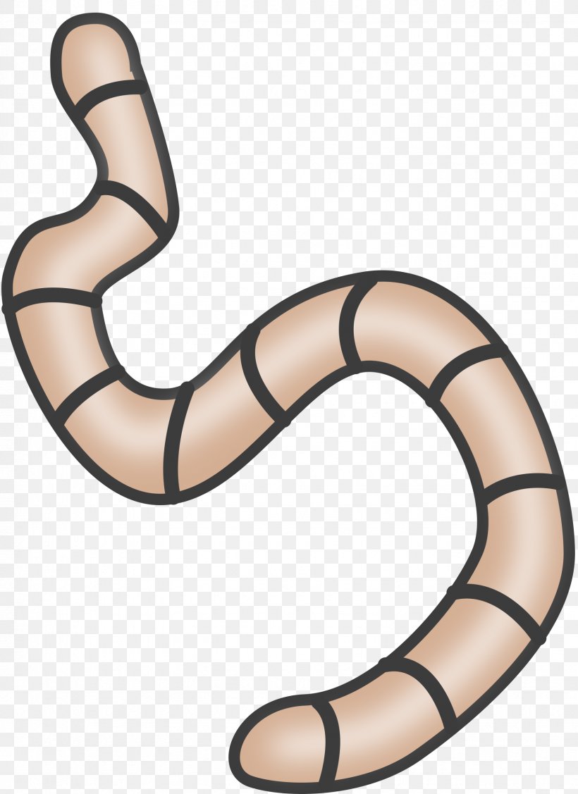 Earthworm Free Content Clip Art, PNG, 1745x2400px, Worm, Animation, Earthworm, Free Content, Public Domain Download Free