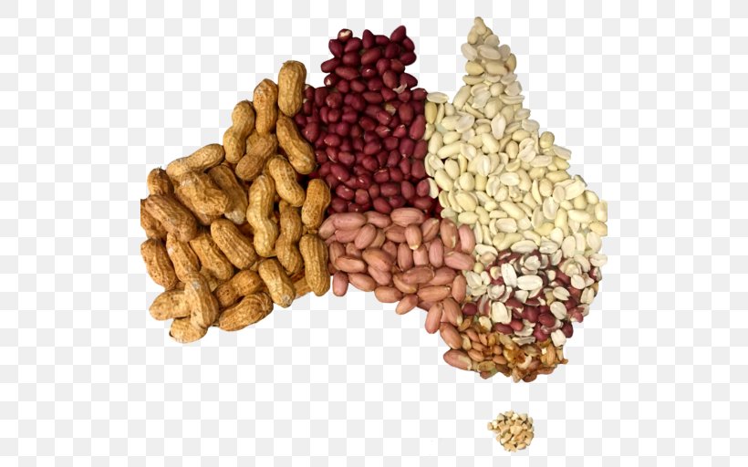 Peanut Vegetarian Cuisine Food Kingaroy, PNG, 512x512px, Peanut, Australia, Business, Commodity, Company Download Free