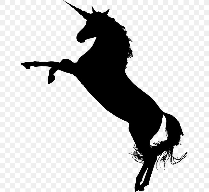 Arabian Horse American Quarter Horse Standing Horse Clip Art, PNG, 656x754px, Arabian Horse, American Quarter Horse, Black And White, Canter And Gallop, Colt Download Free