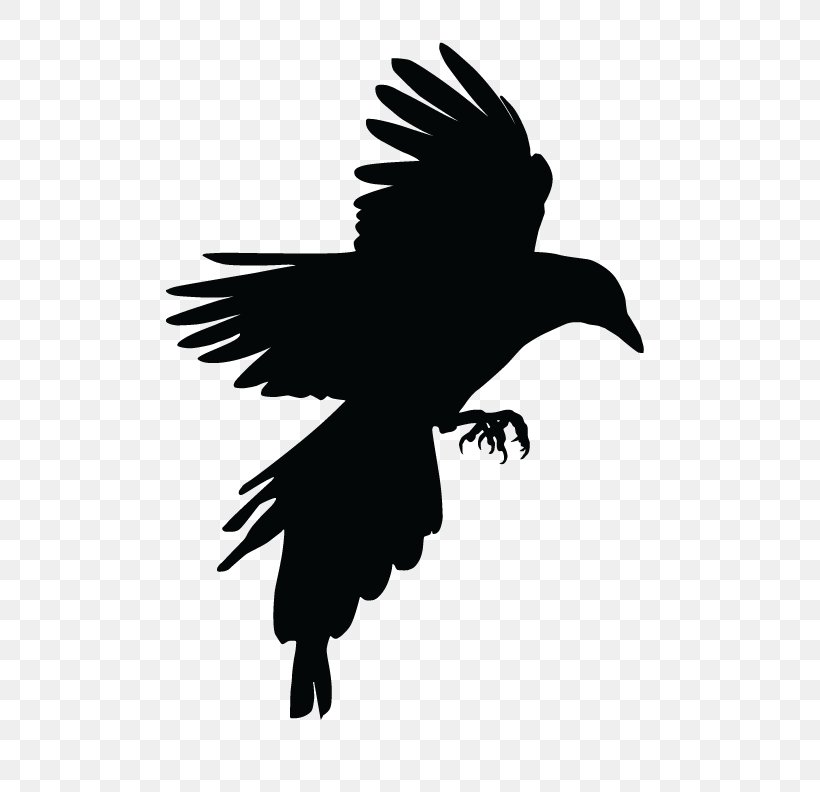 Bird Crow Eurasian Magpie Tattoo, PNG, 612x792px, Bird, American Crow, Beak, Bird Of Prey, Black And White Download Free
