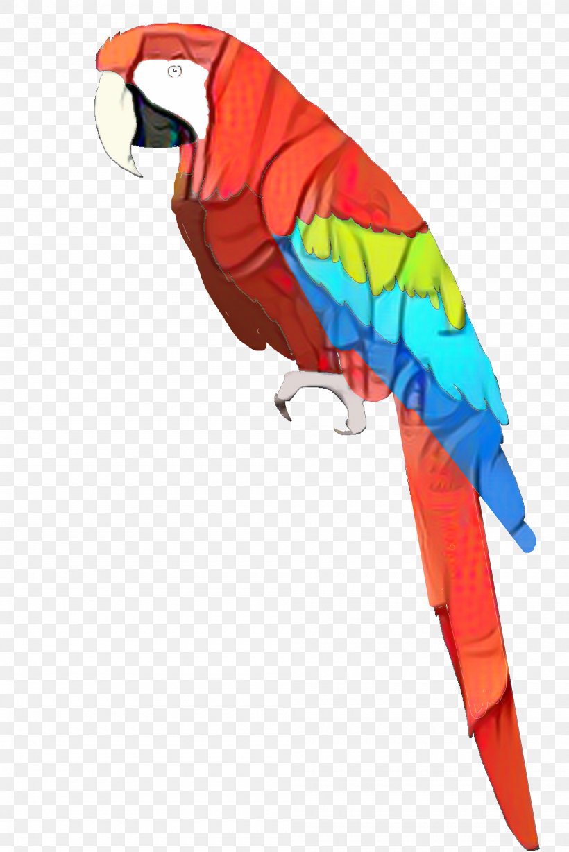 Bird Parrot, PNG, 2000x2996px, Macaw, Beak, Bird, Budgie, Feather Download Free