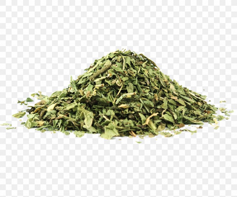 Peppermint Mentha Canadensis Mentha Spicata Dried Fruit Herb, PNG, 1181x986px, Peppermint, Bancha, Biluochun, Darjeeling Tea, Dried Fruit Download Free