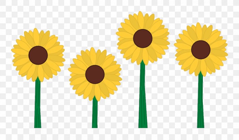 Sunflower, PNG, 880x516px, Sunflower, Asterales, Cut Flowers, Daisy Family, Flower Download Free