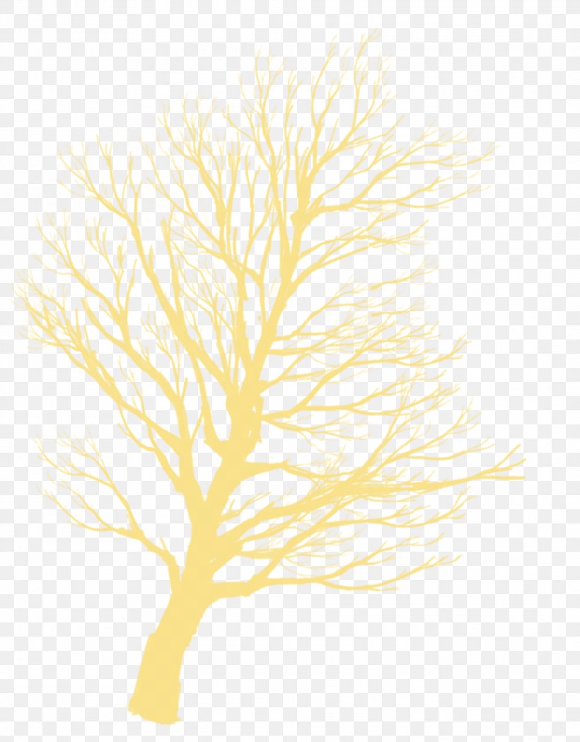 Tree Silhouette Twig, PNG, 2176x2784px, Tree, Branch, Leaf, Motif, Plant Stem Download Free
