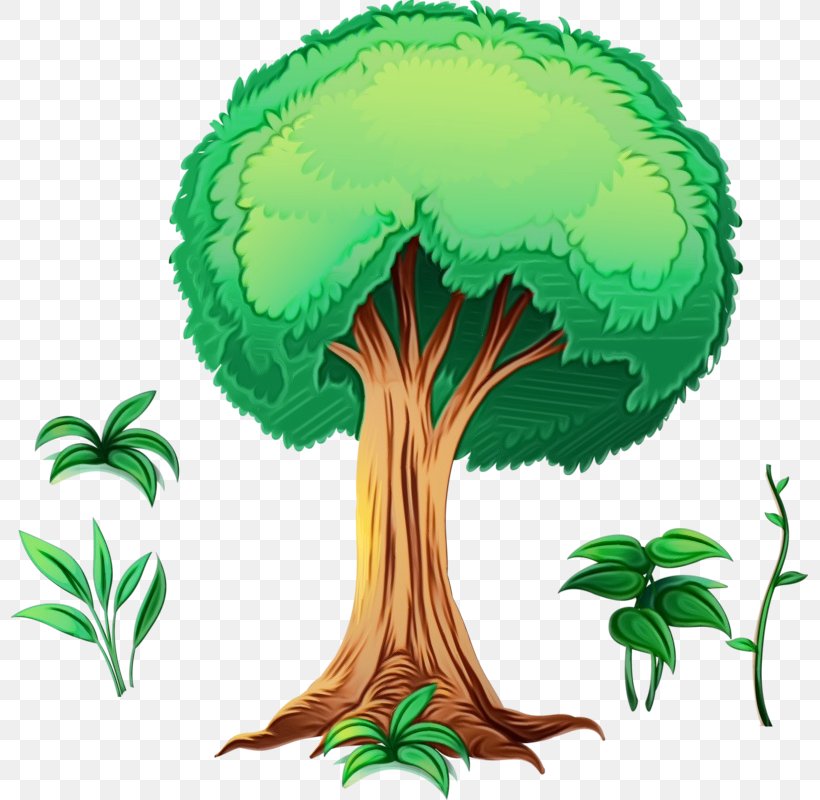 Tree Watercolor, PNG, 797x800px, Watercolor, Animation, Cartoon, Drawing, Grass Download Free