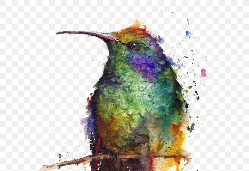 Hummingbird Watercolor Painting Watercolour Flowers Printmaking, PNG, 564x564px, Hummingbird, Art, Artist, Beak, Bird Download Free
