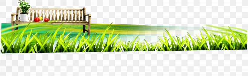Lawn Wheatgrass Energy, PNG, 6439x1985px, Lawn, Brand, Energy, Grass, Grass Family Download Free