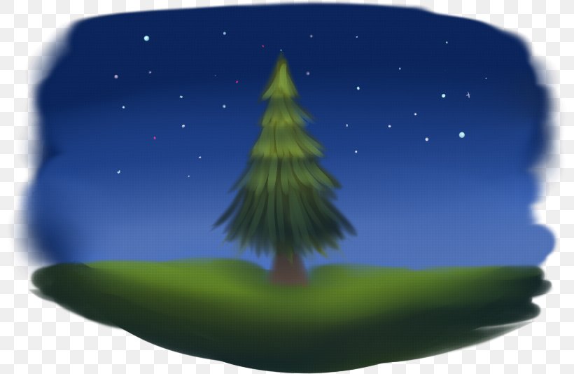 Spruce Fir Christmas Tree Christmas Ornament, PNG, 800x534px, Spruce, Christmas, Christmas Ornament, Christmas Tree, Computer Download Free