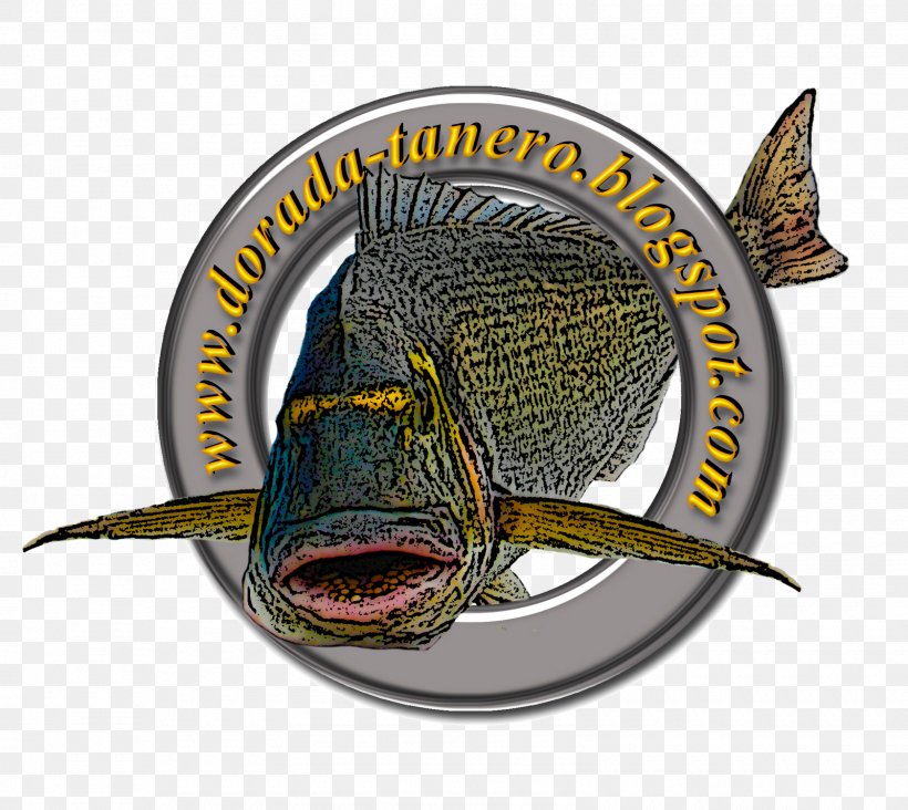 Surf Fishing Fish Hook Gilt-head Bream Catch And Release, PNG, 1600x1430px, Fishing, Bass, Brand, Carp Fishing, Catch And Release Download Free