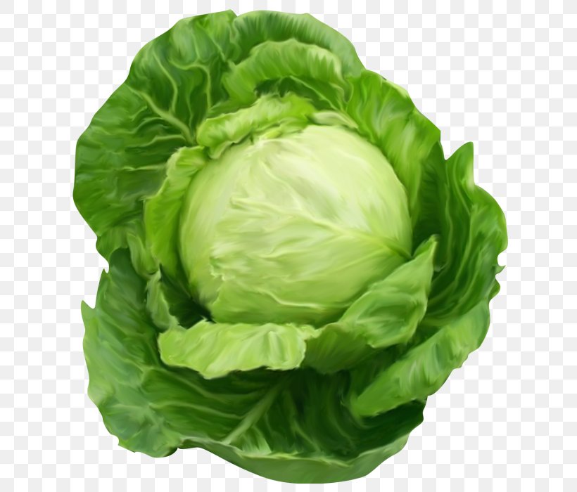 Chinese Food, PNG, 700x700px, Cabbage, Brassica, Chinese Cabbage, Flower, Food Download Free