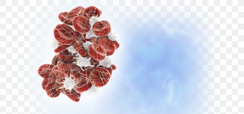 Coagulation Hemostasis Platelet Cell Blood Vessel, PNG, 1405x660px, Coagulation, Bleeding, Blood, Blood Vessel, Cell Download Free
