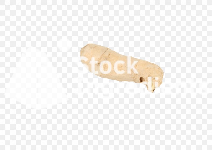 Invertebrate Finger, PNG, 1086x768px, Invertebrate, Finger Download Free