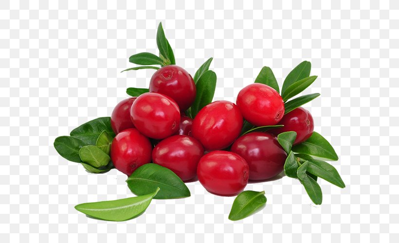 Juice Cranberry Food Dried Fruit, PNG, 600x500px, Juice, Acerola, Acerola Family, Berry, Bilberry Download Free
