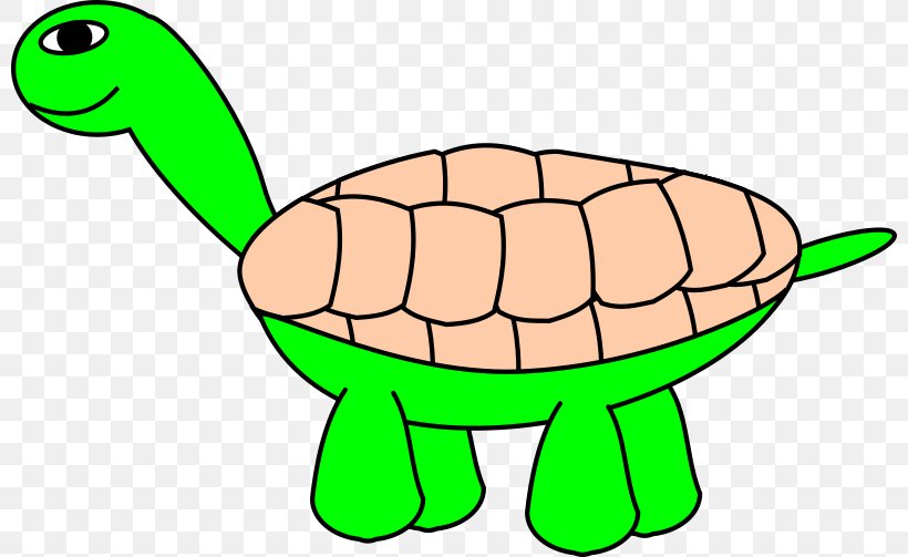 Turtle Cartoon Clip Art, PNG, 800x503px, Turtle, Animal Figure, Animation, Artwork, Cartoon Download Free