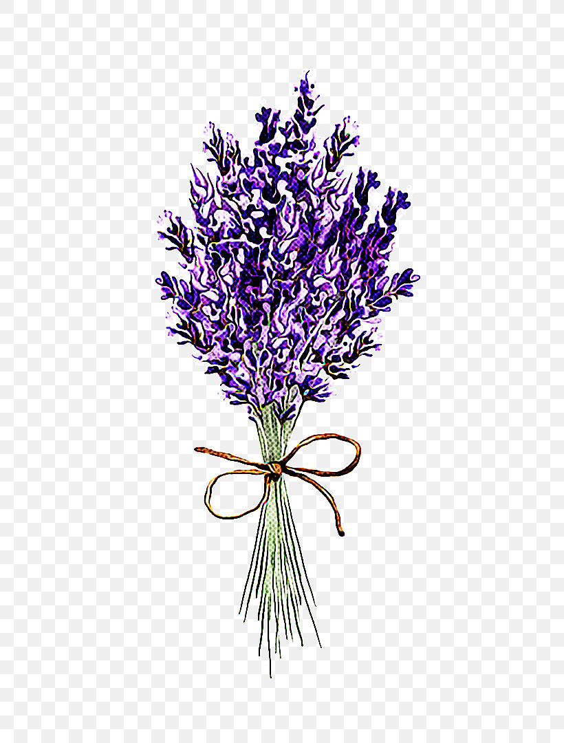 Lavender, PNG, 451x1080px, Lavender, Cut Flowers, English Lavender, Flower, Plant Download Free