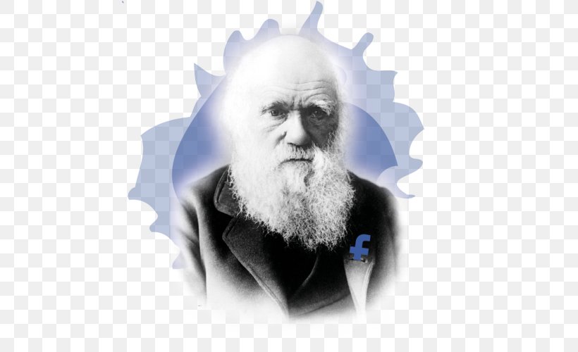 Charles Darwin Darwinism Scientist Natural Selection Science, PNG, 500x500px, Charles Darwin, Beard, Darwinism, Evolution, Facial Hair Download Free