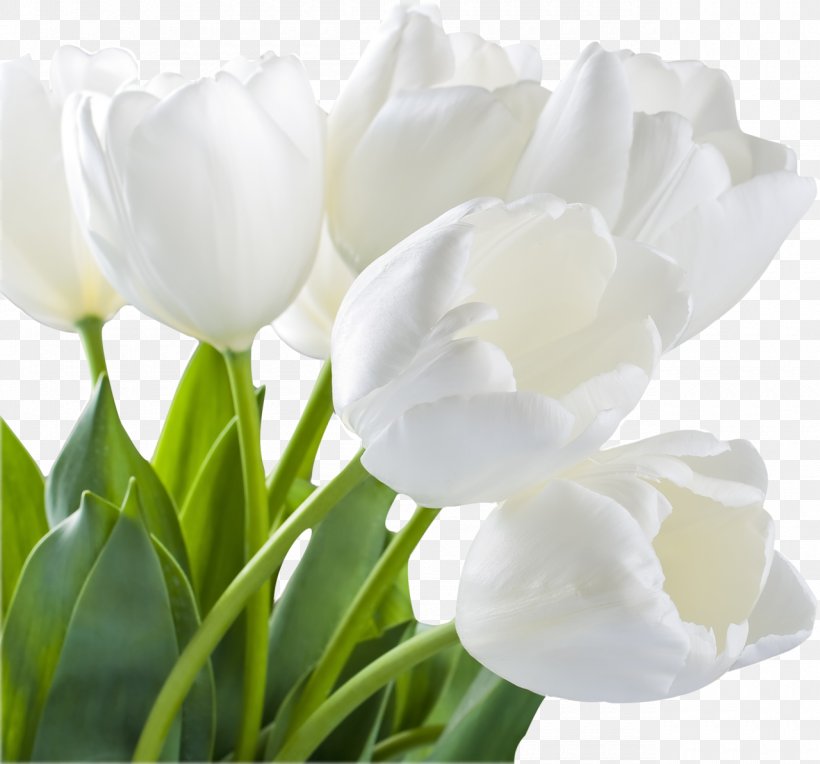 Tulip Artificial Flower Stock Photography Flower Bouquet, PNG, 1280x1194px, Tulip, Artificial Flower, Cut Flowers, Floral Design, Flower Download Free