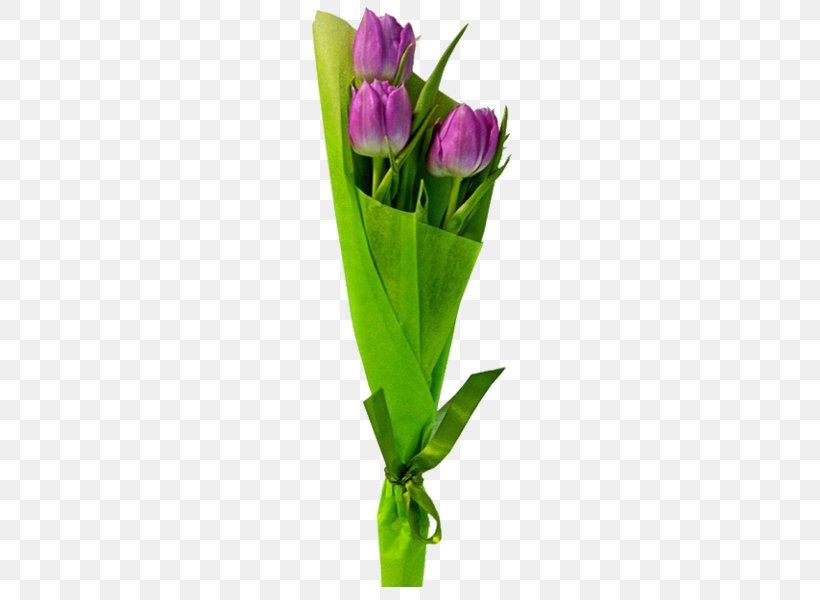 Tulip Flower Bouquet Garden Roses Red, PNG, 600x600px, Tulip, Blue, Box, Bud, Cut Flowers Download Free