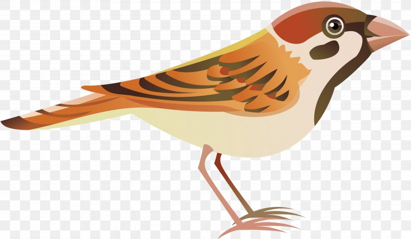 Bird House Sparrow Flight, PNG, 3840x2237px, Bird, Beak, Eurasian Tree Sparrow, Fauna, Feather Download Free