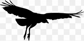 Macaw - Bird Silhouette PNG