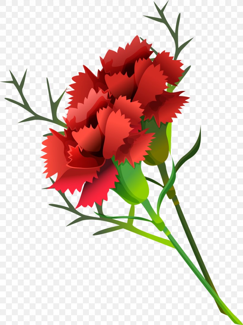 Carnation Paper Cut Flowers Collage Flower Bouquet, PNG, 900x1200px, Carnation, Annual Plant, Beach Rose, Collage, Cut Flowers Download Free