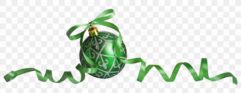 Christmas And Holiday Season Orchid Thai Massage & Nails Company, PNG, 3200x1237px, Christmas And Holiday Season, Christmas, Company, Grass, Green Download Free