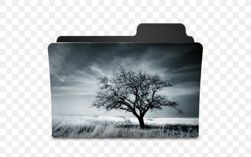 Tree Photography, PNG, 512x512px, Tree, Art, Black And White, Drawing, Landscape Download Free